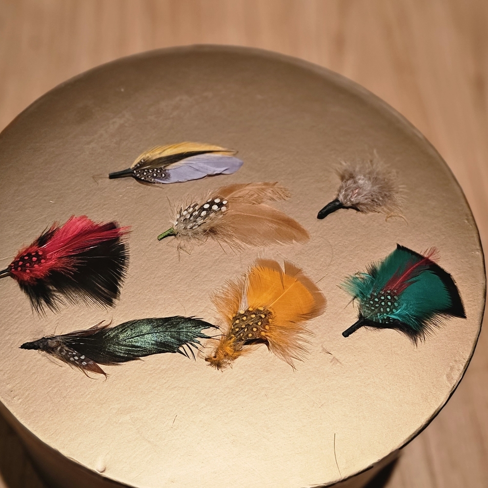 cap feathers (10 total)